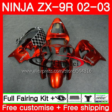 Body For KAWASAKI NINJA ZX-9R 02-03 ZX900 ZX 900 ZX9 R 17SH14 900CC ZX 9 R ZX9R 02 03 ZX 9R 2002 2003 Fairings kit New orange