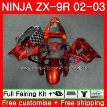 Load image into Gallery viewer, Body For KAWASAKI NINJA ZX-9R 02-03 ZX900 ZX 900 ZX9 R 17SH14 900CC ZX 9 R ZX9R 02 03 ZX 9R 2002 2003 Fairings kit New orange